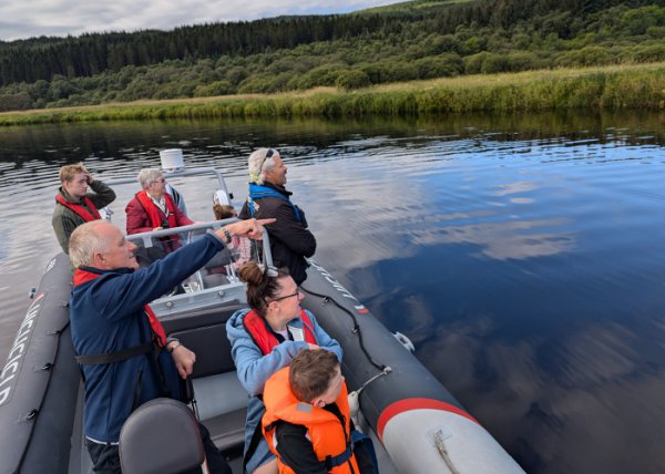 Wildlife on Loch Ken Boat Tours